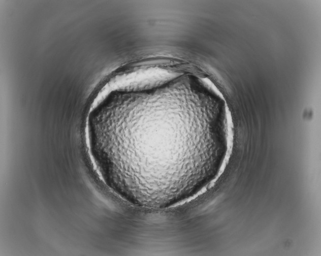 X0000091310394200709071118