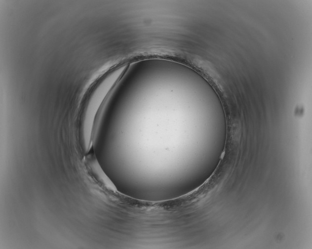 X0000091310395200709071118