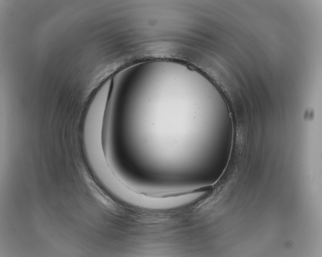 X0000091310397200709071118