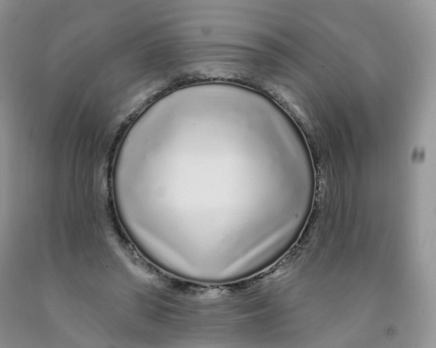 X0000091310398200709071118
