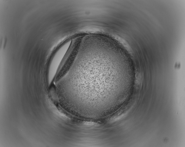 X0000091310399200709071118