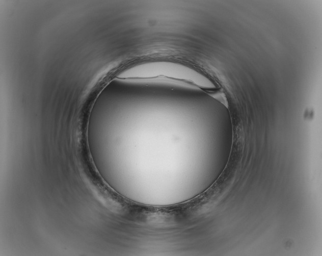 X0000091310400200709071118