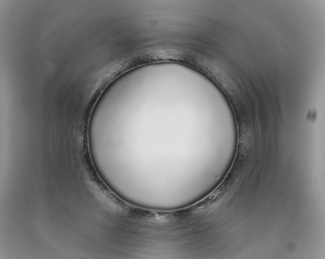 X0000091310402200709071118