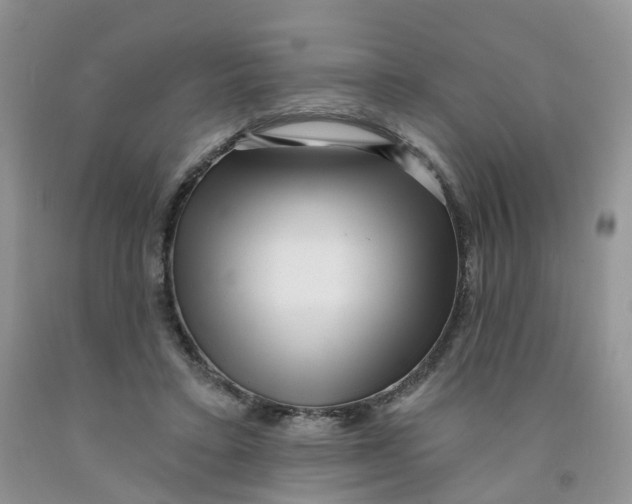 X0000091310403200709071118