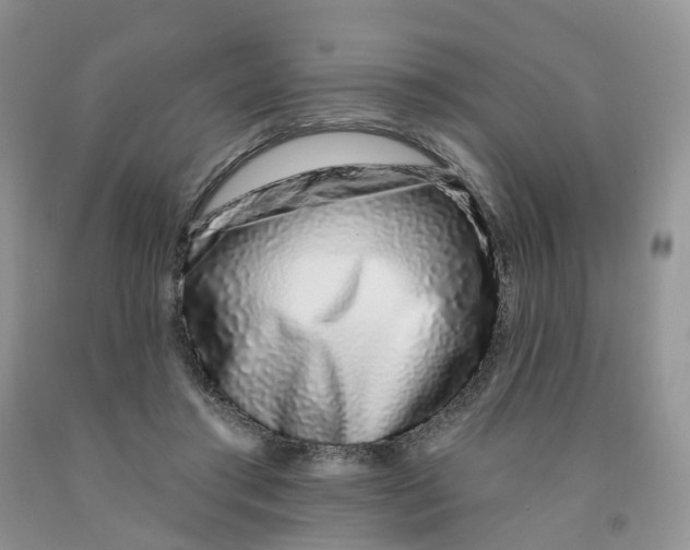 X0000091310405200709071118