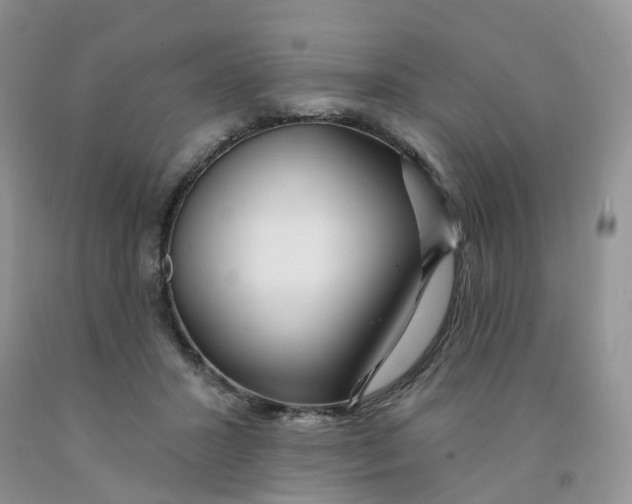 X0000091310407200709071118