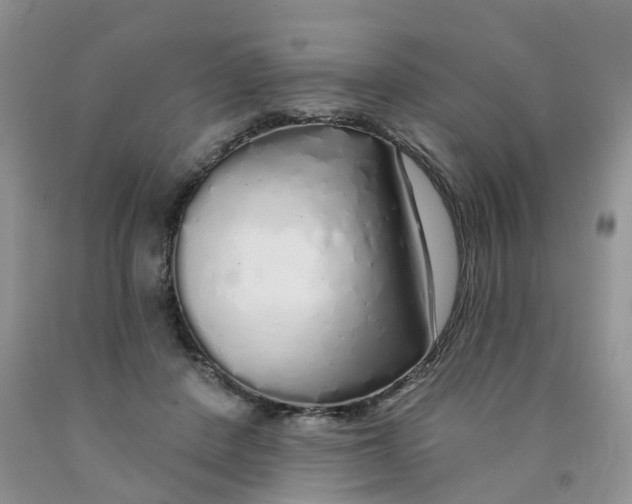 X0000091310408200709071118