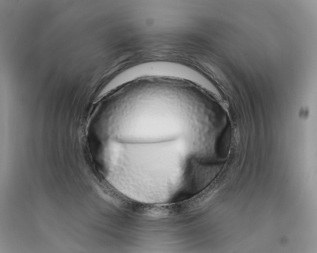 X0000091310409200709071118