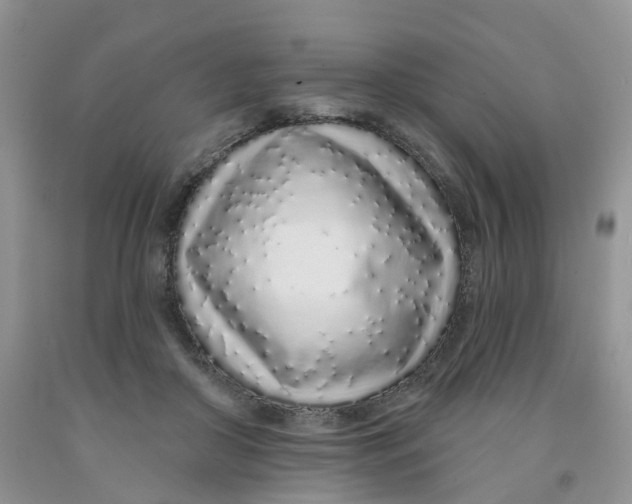 X0000091310410200709071118
