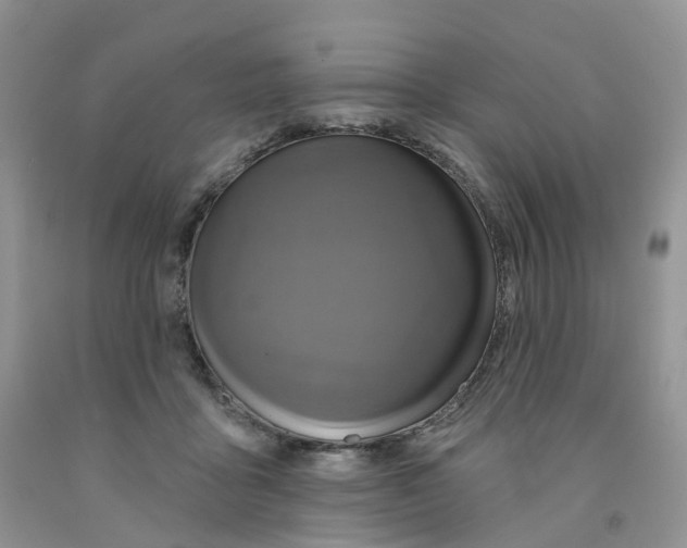 X0000091310411200709071118