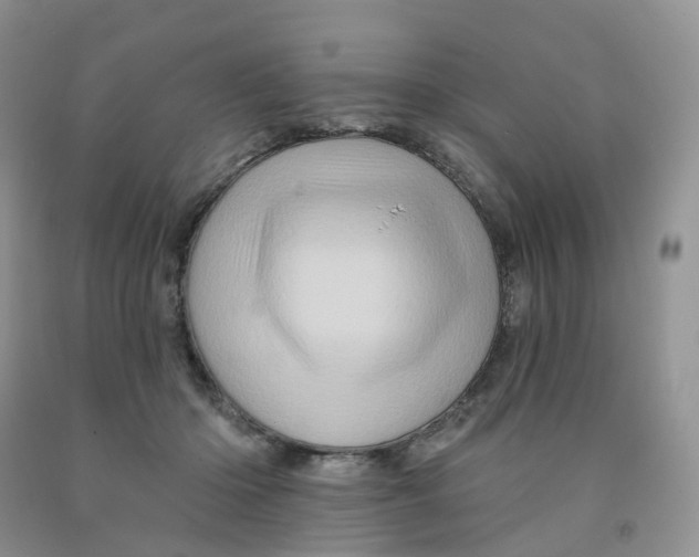 X0000091310414200709071118