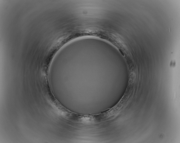 X0000091310415200709071118