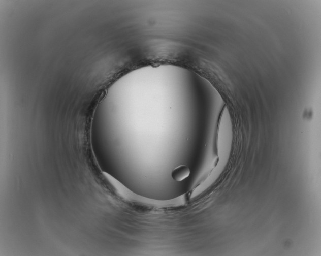 X0000091310416200709071118