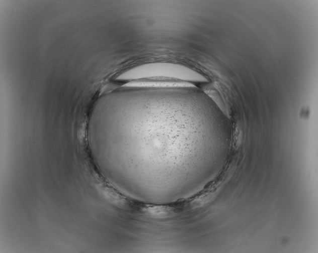 X0000091310417200709071118