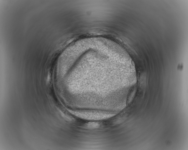 X0000091310418200709071118