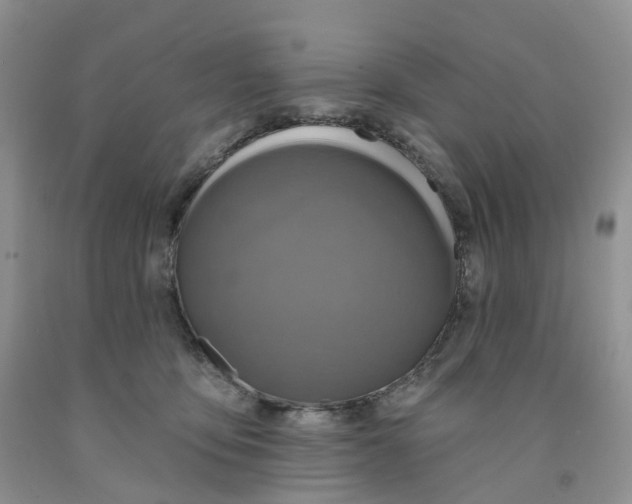 X0000091310419200709071118