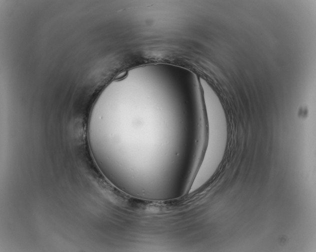 X0000091310420200709071118
