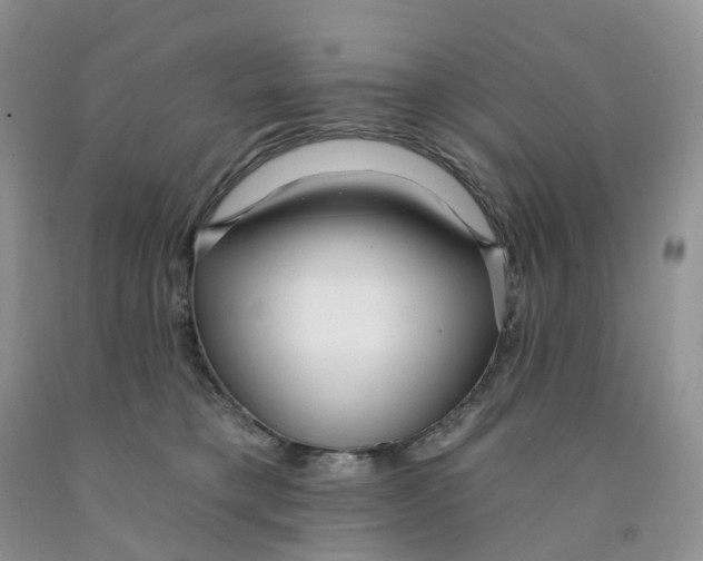 X0000091310421200709071118