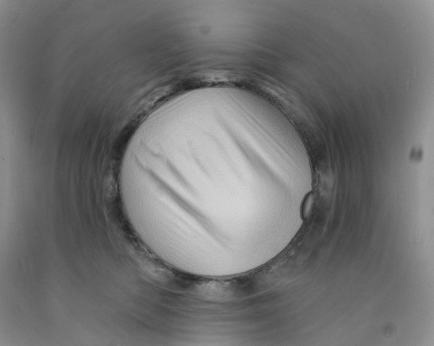 X0000091310422200709071118