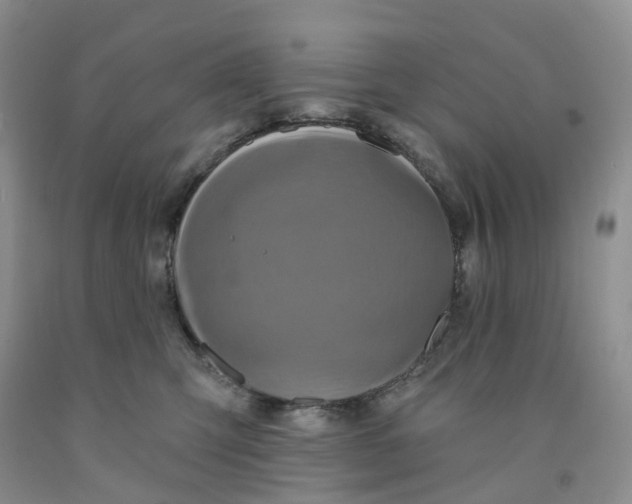 X0000091310423200709071118