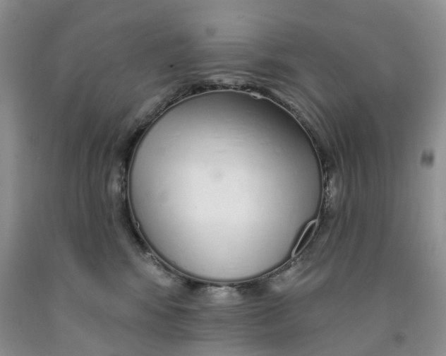 X0000091310424200709071118