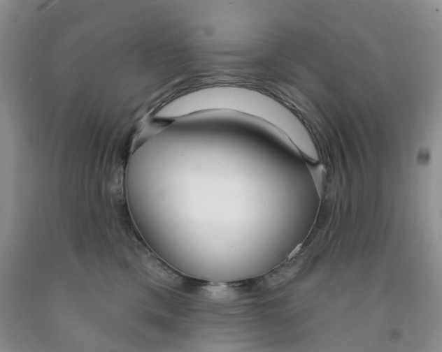 X0000091310425200709071118