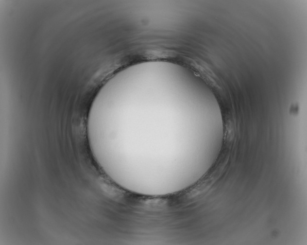 X0000091310426200709071118