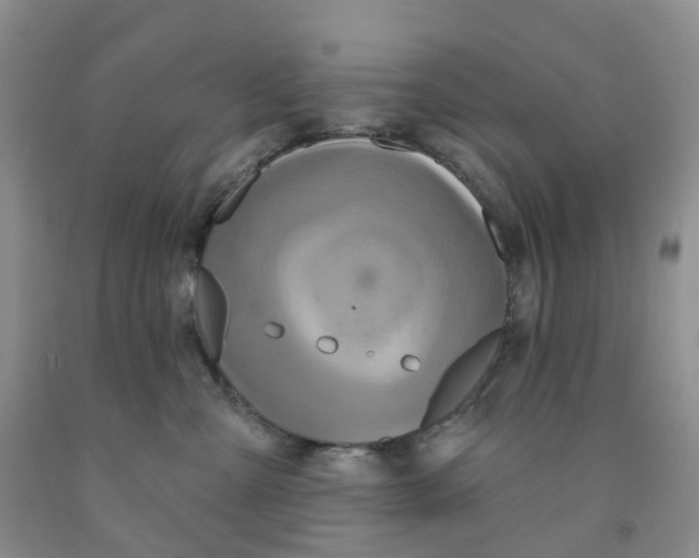 X0000091310427200709071118