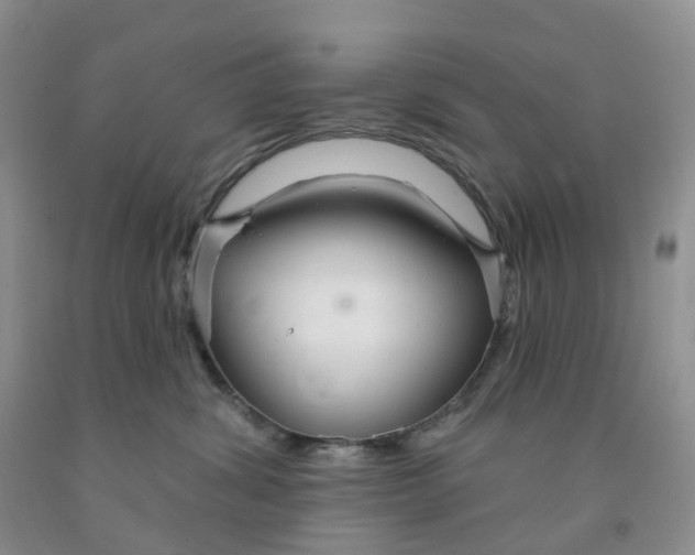 X0000091310428200709071118