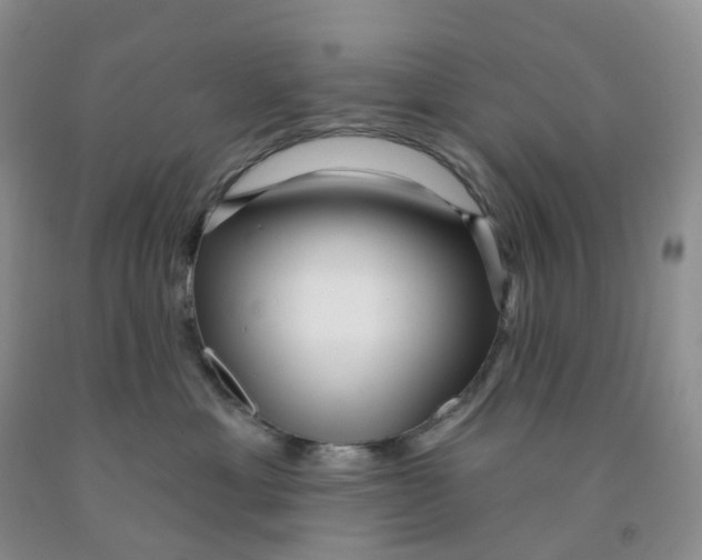 X0000091310429200709071118