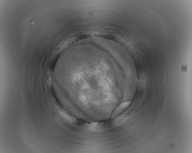 X0000091310430200709071118