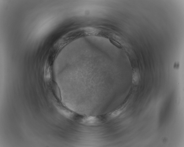 X0000091310431200709071117