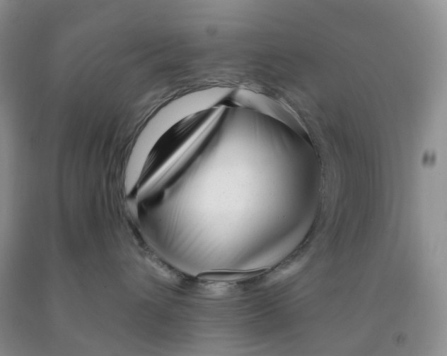 X0000091310432200709071117