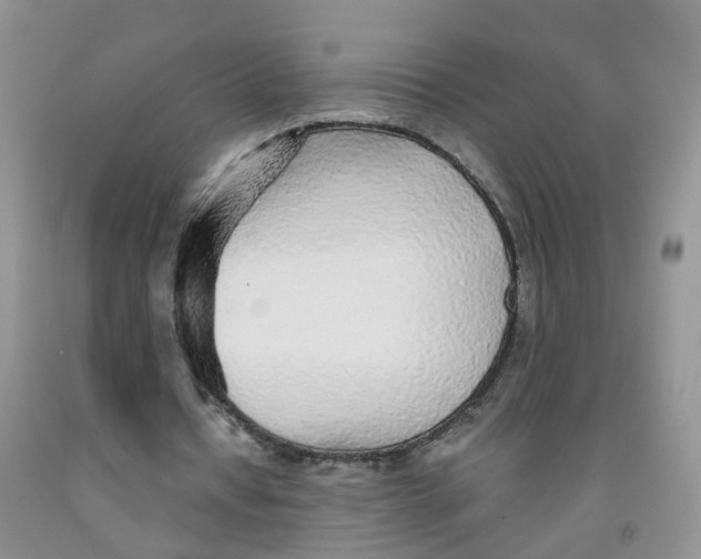 X0000091310434200709071117