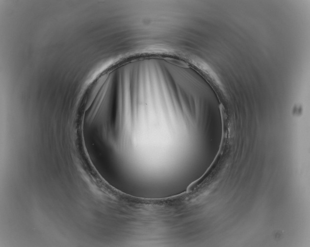 X0000091310436200709071117
