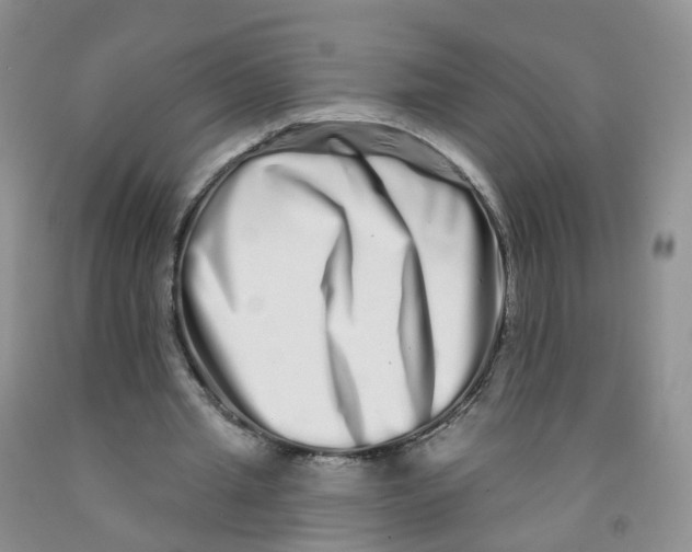 X0000091310437200709071117