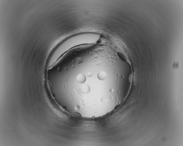 X0000091310438200709071117