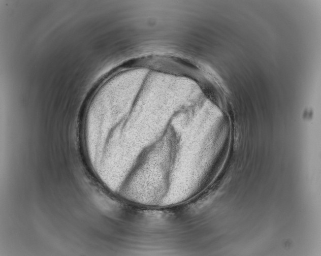 X0000091310439200709071117