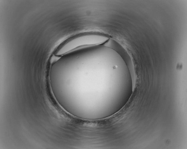 X0000091310440200709071117