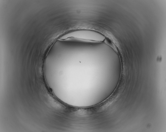 X0000091310441200709071117