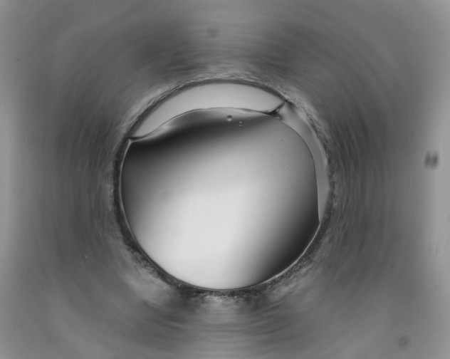 X0000091310442200709071117