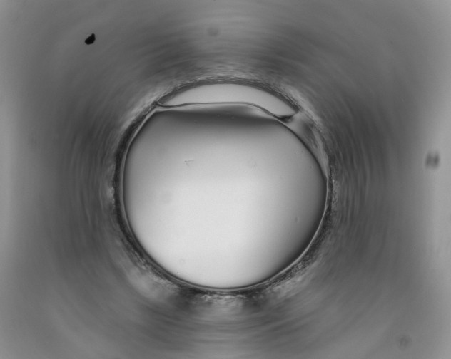 X0000091310443200709071117