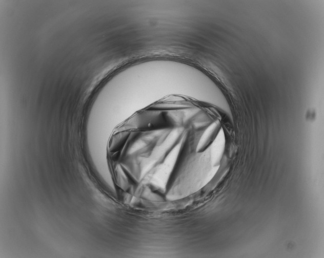 X0000091310444200709071117