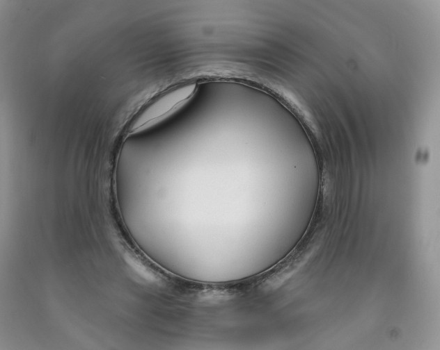 X0000091310445200709071117