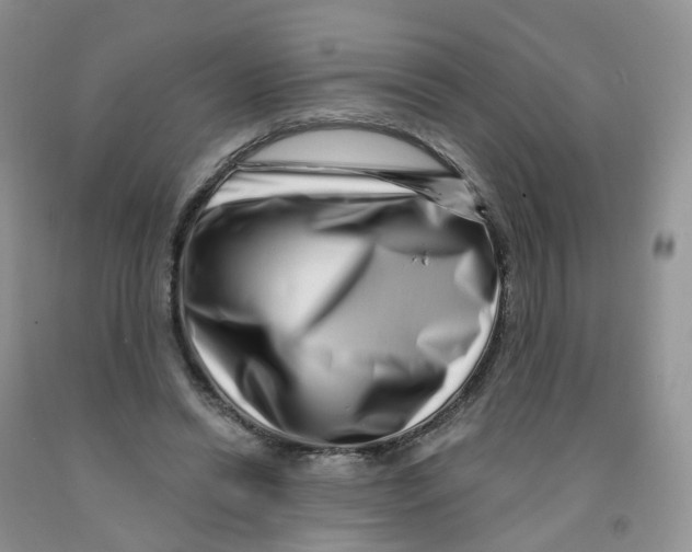 X0000091310446200709071117