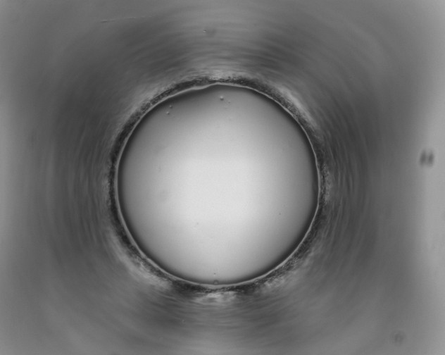 X0000091310447200709071117