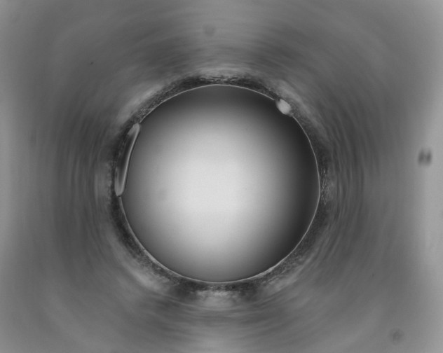 X0000091310448200709071117