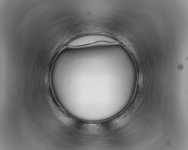 X0000091310449200709071117