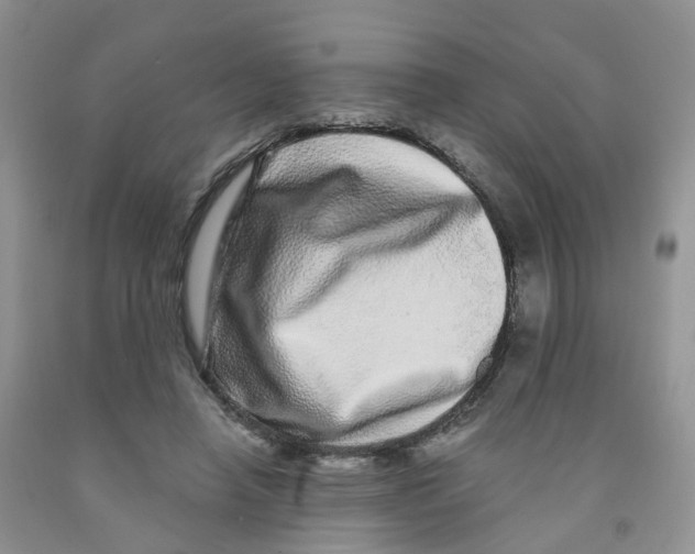 X0000091310450200709071117