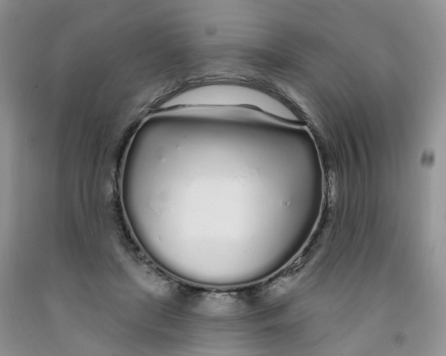 X0000091310451200709071117